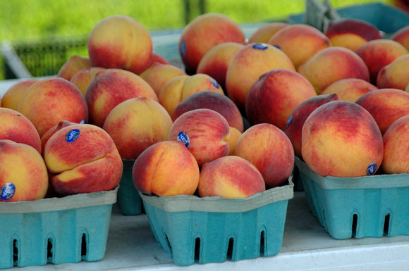 Georgia Peach Melts