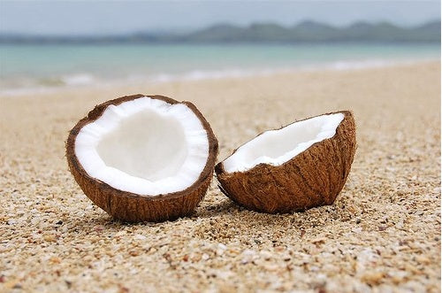 Coconut Bliss Melts